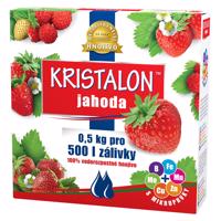 AGRO CS Hnojivo KRISTALON Jahoda 0,5kg