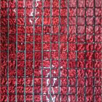 Obklad mozaika Red Gnp2303-1 30/30