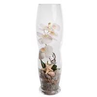 Orchidea sh00935 šírka 16cm výška 55cm