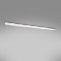 LED stropnice